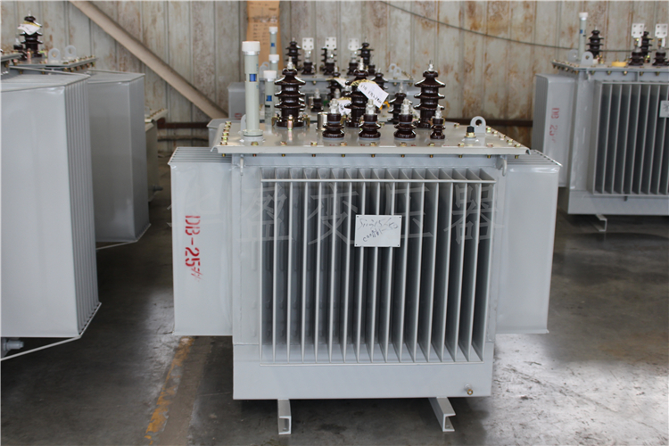 昭通S20-800kVA/10kV/0.4kV变压器